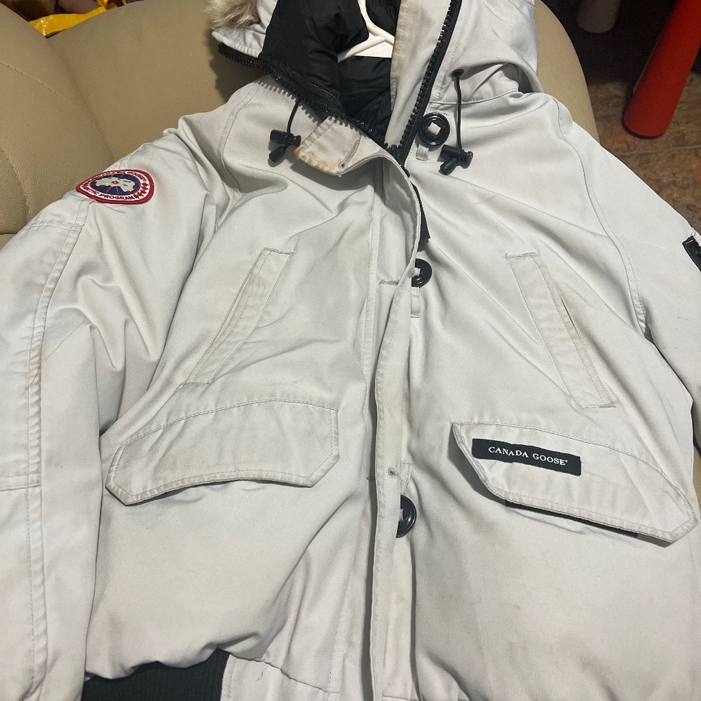 Canadian goose size large